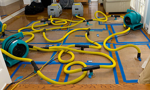Professional Basement Flood Cleanup technician working in Martensdale, IA